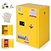 12 Gallon Dangerous Storage Explosion Proof Cabinet 22.8in W X 18.1in D X 35in H F﻿lammable Liquid Storage Cabinet Steel for Industrial Applications