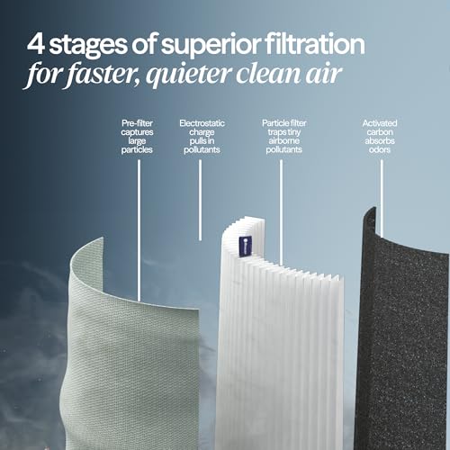 Blueair commercial air purifier