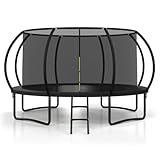 Polar Aurora 14 FT Outdoor Trampoline with Safety Enclosure Net, Thickened Spring Pad，ASTM Approved Recreational Trampoline for Kids and Adults with Anti-Rust Coated Frame and Ladder, 450LB Capacity
