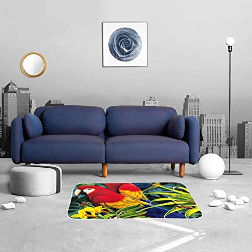 Area Rug, Washable Entryway Rug, Non-Slip Throw Rugs, Floor Carpet, Rug For Door Mat Bedroom Living Room Kitchen Laundry, Tropical Jungle Parrot Butterfly Hawaii #TOP3