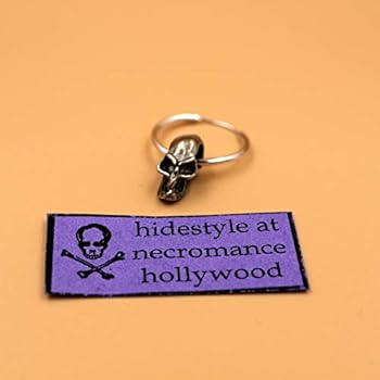 hide ネクロマンス ピンクスパイダー ピアス 廃盤品 411aL6GlvBL._AC_UY350_.jpg