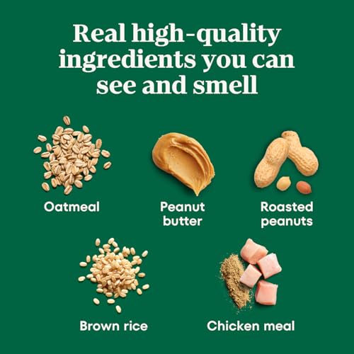 Image of Nutro Crunchy Dog Treats with Real Peanut Butter,Training Treats for Dogs,10 oz. Bag,(Pack of 2)