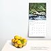 Tennessee Wild & Scenic | 2025 12 x 24 Inch Monthly Square Wall Calendar | Plastic-Free | BrownTrout | USA United States of America Southeast State Nature