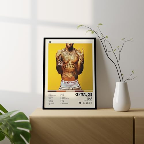 Image of BLINKART Central CEE Wall Photo Frames | Wall Art for Bedroom, Living Room, Studio or Office | Album Cover Print with Spotify Song Link QR Code | Gift for Fans - 8x12 In