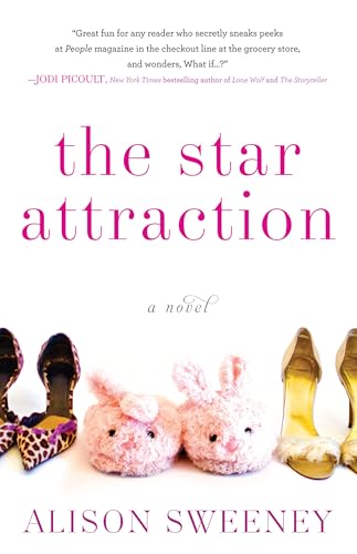The Star Attraction view 2