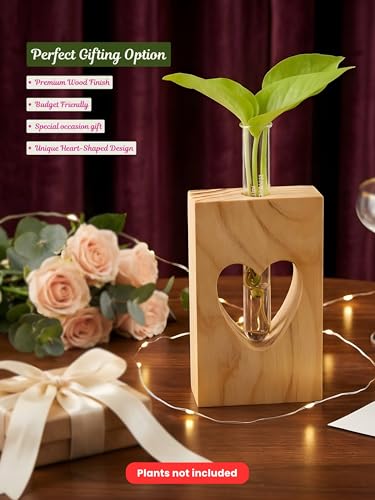 Image of Bombay Greens Planter with Heart Decor | Test Tube Indoor Planter Stand | Wooden Planter for Home Decor, Living Room, Balcony & Office Decoration