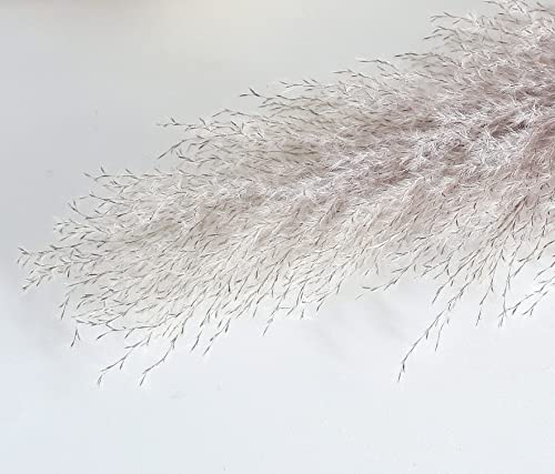 Image of Bannifll 10 PCS of 46-INCH Nature Pampas Grass - Elegant Fluffy Decor for Floor Vases. Perfect for Boho Weddings and Nature Vase Home Decor, Grey
