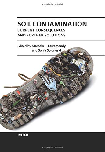 Soil Contamination: Current Consequences and Further Solutions