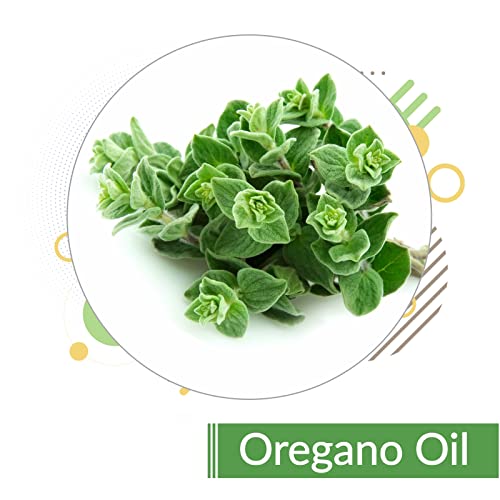 Image of B-URBAN Oregano (Origanum Vulgare) Oil |100% Pure & Natural Undiluted Essential Oil Organic Standard| For Aromatherapy, Relaxation, Skin Therapy & More | Quality Aromatherapy Oil | 30ML