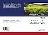 LAP LAMBERT Academic Publishing