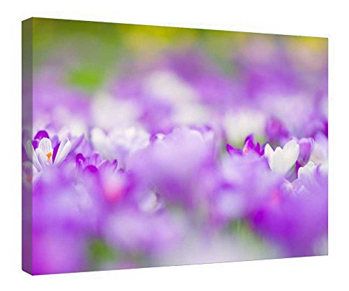 Toile The Magic Of Spring pour illuminer votre salon chaleureux
