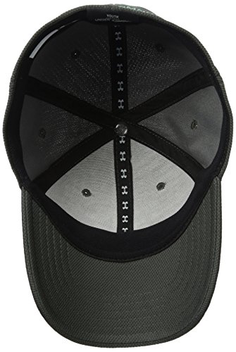 Image of Under Armour Boys' Blitzing Cap Stretch Fit