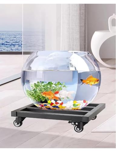 Roule-plante fer 40x40cm pour déplacer facilement les gros pots lourds