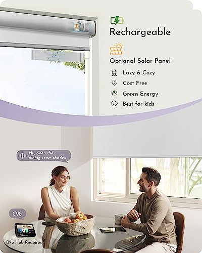 Smart Automatic Window Shades
