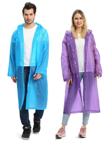 View 2