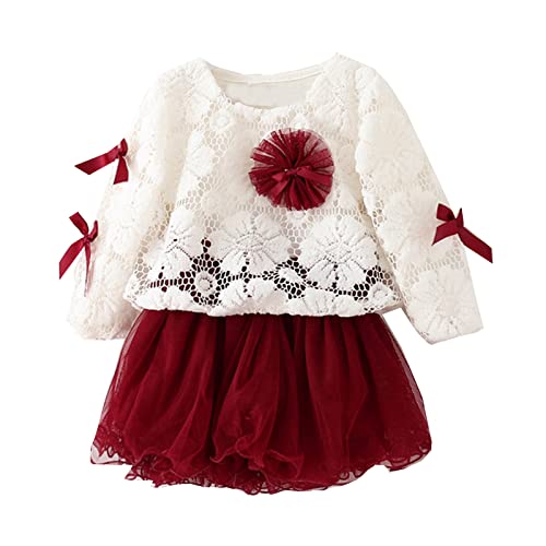 Kid Lace Princess Tulle Dress Long Sleeve Bowknot Smock Dress 2PCS Outfits Cute Comfortable Baby Girl Birthday Party Clothes