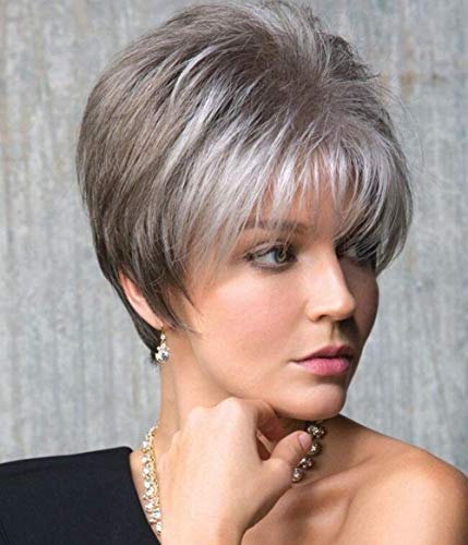 LEJIMEI Gray Wigs for Women Short Straight Hair Wig with Bangs Natural Looking Synthetic Full Wig for Party Daily Use (Gray Mixed White) LM087
