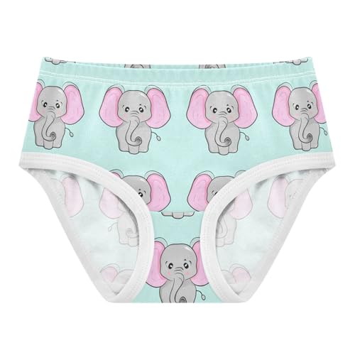 Cute Gray Elephants Pink Ears Toddler Girls's Underwear 2T 202c1284