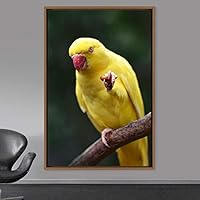 Framed Canvas Wall Art Single Bird Birds Expressive Farmhouse/Country Multicolor Photography Portrait Single - 16x24 inches