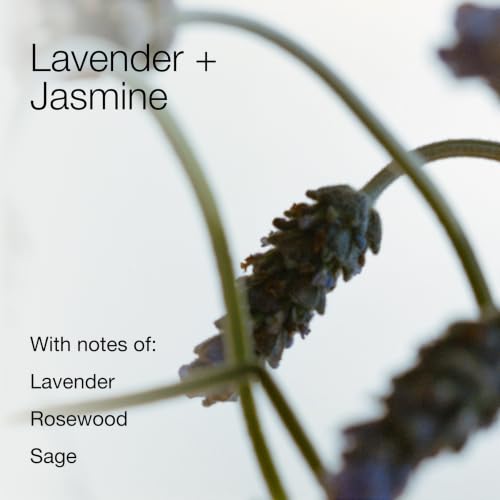 Bath & Body Works Fragrance-Infused Liquidless Reeds, Lavender & Jasmine - image 5