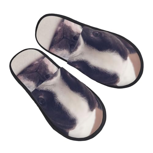 [ZOOKISS] Xbp  t`uhbO  Y  fB[X ~ 킢 qp 􂦂 gC qp p E Xbpjp v[g M