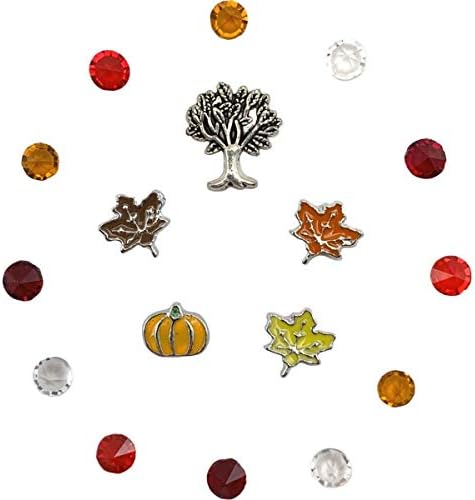 Custom One-Piece Floating Charm Stainless Steel Vessel with Sturdy Screw Top Lid and Key Ring Retractable Heavy Duty Belt Clip ID Badge Holder (FC BC Fall)
