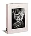 Ulmer Puzzleschmiede - Puzzle Gorilla - Motivo Animale con Potente Gorilla in Bianco e Nero