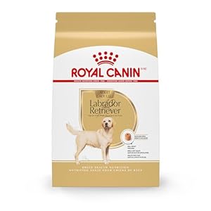 Royal Canin Labrador Retriever Adult Dry Dog Food, 30 lb bag