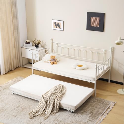 eqxbh i xbht[ VO pCvxbh q lp [^Cv xbh LX^[t ȃXy[X݌v  RpNg ω׏d180kg X`[  ϐk ʋC 99×203×106cm (zCg)