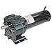DC Gearmotor, 64 RPM, 90V, TENV
