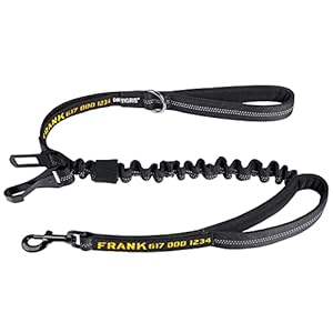 Onetigris 3-in-1 Doppel-Hundeleine Sicherheitsgurt