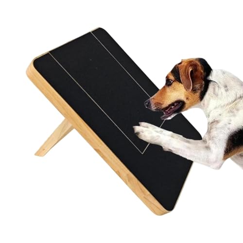 Meubles et canapé griffés ? Découvrez la planche à gratter pour chiens interactive - 2