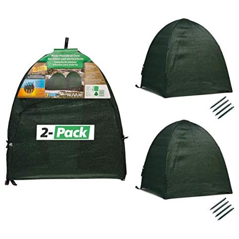 NuVue Products 22252 Winter Snow and Ice Covers for Plants, Shrubs, and Small Trees, Winter Shrub Covers for Snow and Freeze Protection, Pack of 2, Green, 28" x 28" x 30" Cover