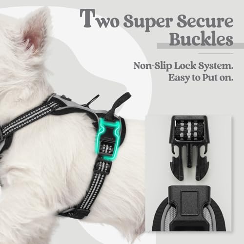 Image of rabbitgoo Dog Harness No Pull with 2 Leash Clips, Adjustable Soft Padded, Reflective Oxford No Choke Pet Vest with Easy Control Handle for Puppy, Grey, XS