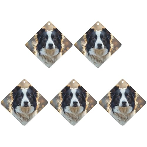 킢{[_[R[ ԗpF ݂艺`bv 5pbN ԗp ݂艺V[g  z[  CeA  Ђ`AO[X^C