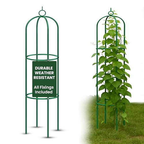 My Garden Metal Garden Obelisk 1.49M Heavy Duty Tubular Plant Cage Trellis for Climbing Plants Roses Sweat Pea Weather Resistant Climbing Plants Support Structure for Patio Gardens Outdoors