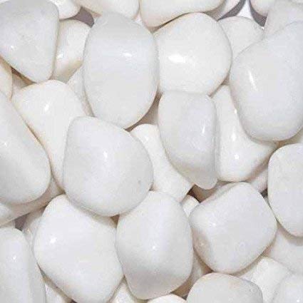 Bum Bum Bhole 20Kg Natural Polished Pebble Stones (White Polished) Terrarium|Succulents|Garden Pots|Gardening|Bamboo Plants & Multi Purpose Pack