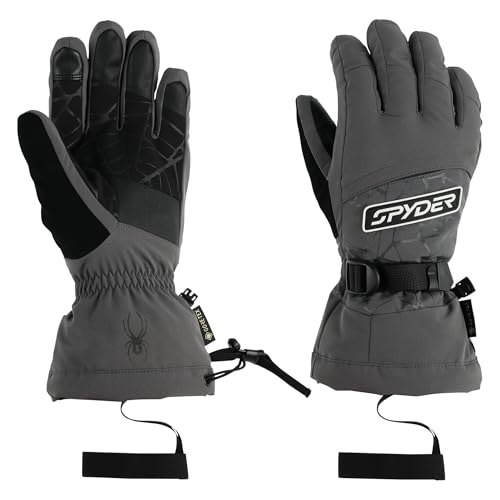 Spyder Men's Overweb GTX Ski Gloves