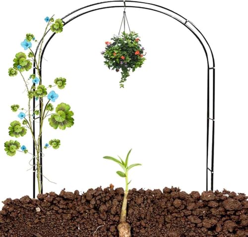 Arche de jardin en métal de 4m pour sublimer votre allée extérieure