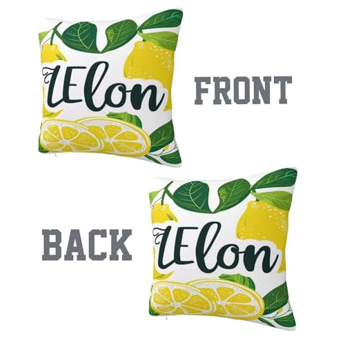 Housse de coussin 60x60 cm le citron lot de 2 pour canapé - 4