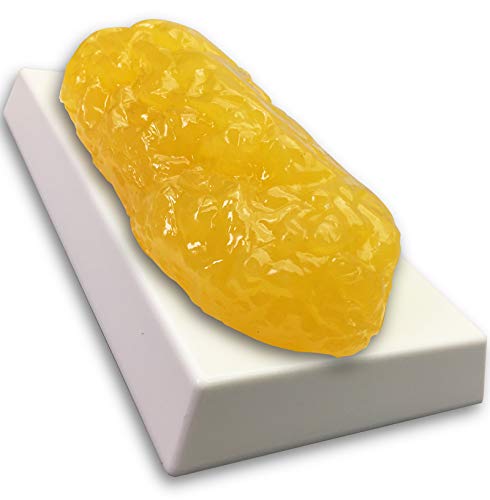 Amazing Fat Replica 1lb – Realistic Anatomic Fat Model – Accurate Feel and Appearance of 1 Pound of Fat – Great for Students in Physiology & Science – Learn Body Fat Anatomy