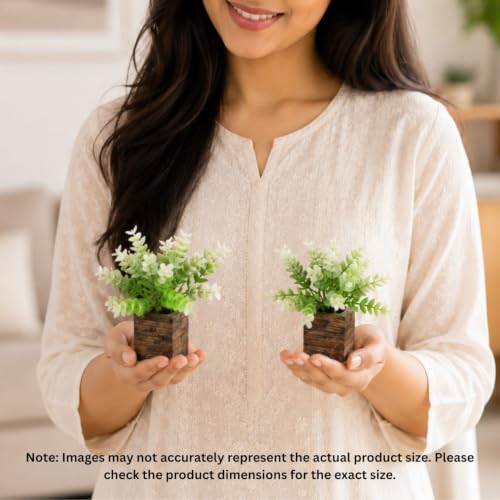 Image of DecoreBugs Artificial Eucalyptus Plant with Plastic Pot (Pack of 2) | 12 cm Height | Mini Potted Plants for Shelf Decor, Home, Office, Living Room, Desk & Table Item Decoration