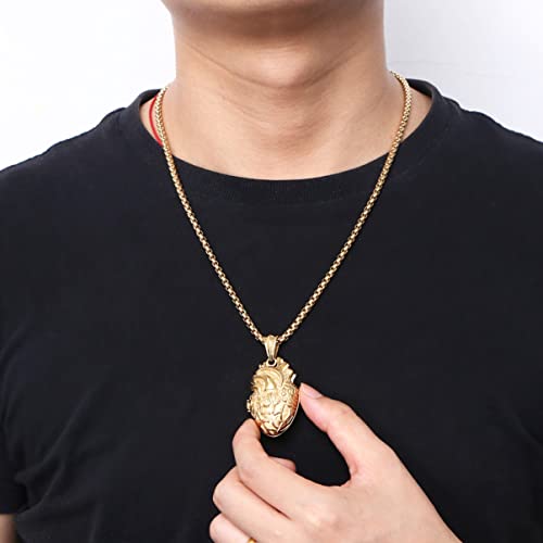 USHOBE Colar De Coração Anatômico Colar De Coração De Aço Inoxidável Colar De Órgão