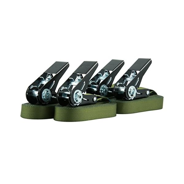 Sandax 4er-Set Zurrgurte mit Ratsche, langlebige Einteilige Spanngurte, Ratschengurte, LÃ¤nge 4 Meter (4m), Breite 25mm, Farbe Oliv-grÃ¼n, TÃV Zertifiziert, belastbar bis 900kg, nach DIN EN 12195-2