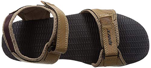 Sparx mens Ss-708 Sport Sandal