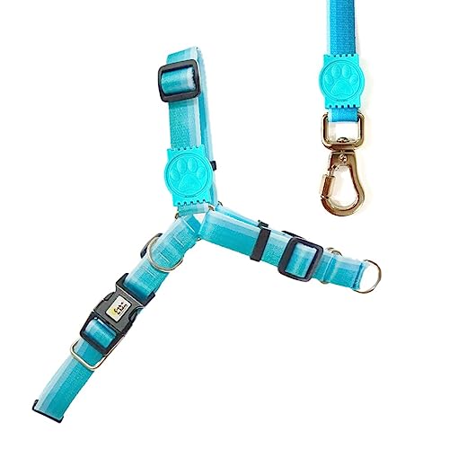 Peitoral Antipuxão para Cachorro com guia (M, Saquarema)