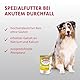 animonda INTEGRA PROTECT Intestinal Huhn Pur (6 x 400 g), Hunde Diätfutter bei Durchfall & Erbrechen, Hundefutter mit Huhn und Reis, leicht verdauliches Nassfutter für Hunde
