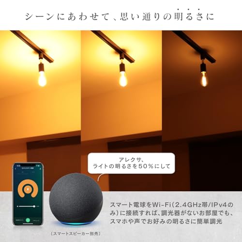 エジソンスマート スパイラルGLOBEゴールド DST-E26GGSP
