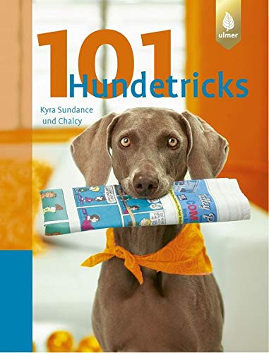 101 Hundetricks gelb 12 x 3,5 cm 101 Hundetricks gelb 12 x 3,5 cm