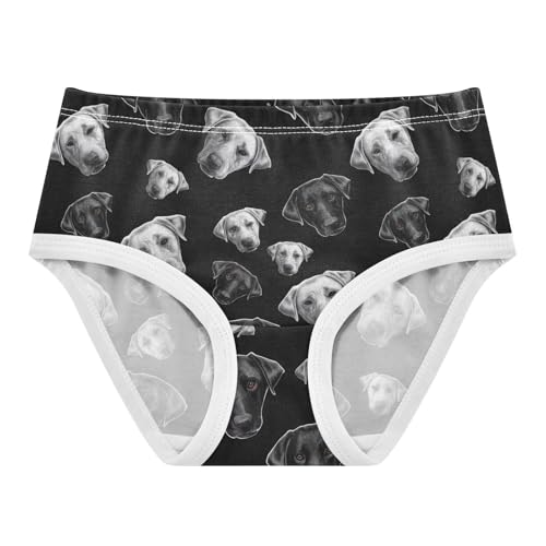 Girls Underwear Toddlers 2t Cotton Cute Panties Girl Animal Undies Kids Briefs Funny Black White Retriever Dog